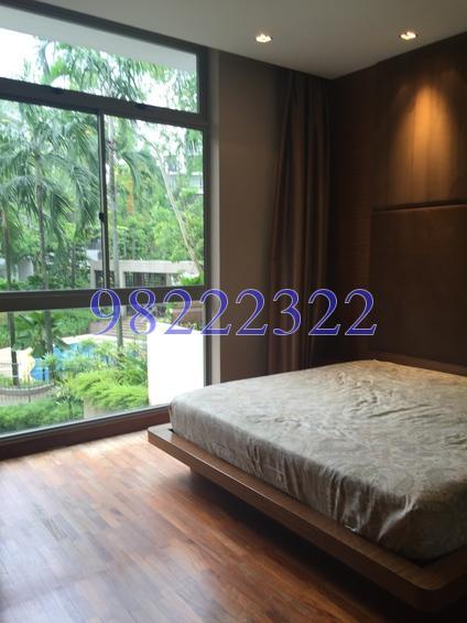 The Shelford (D11), Condominium #176698442